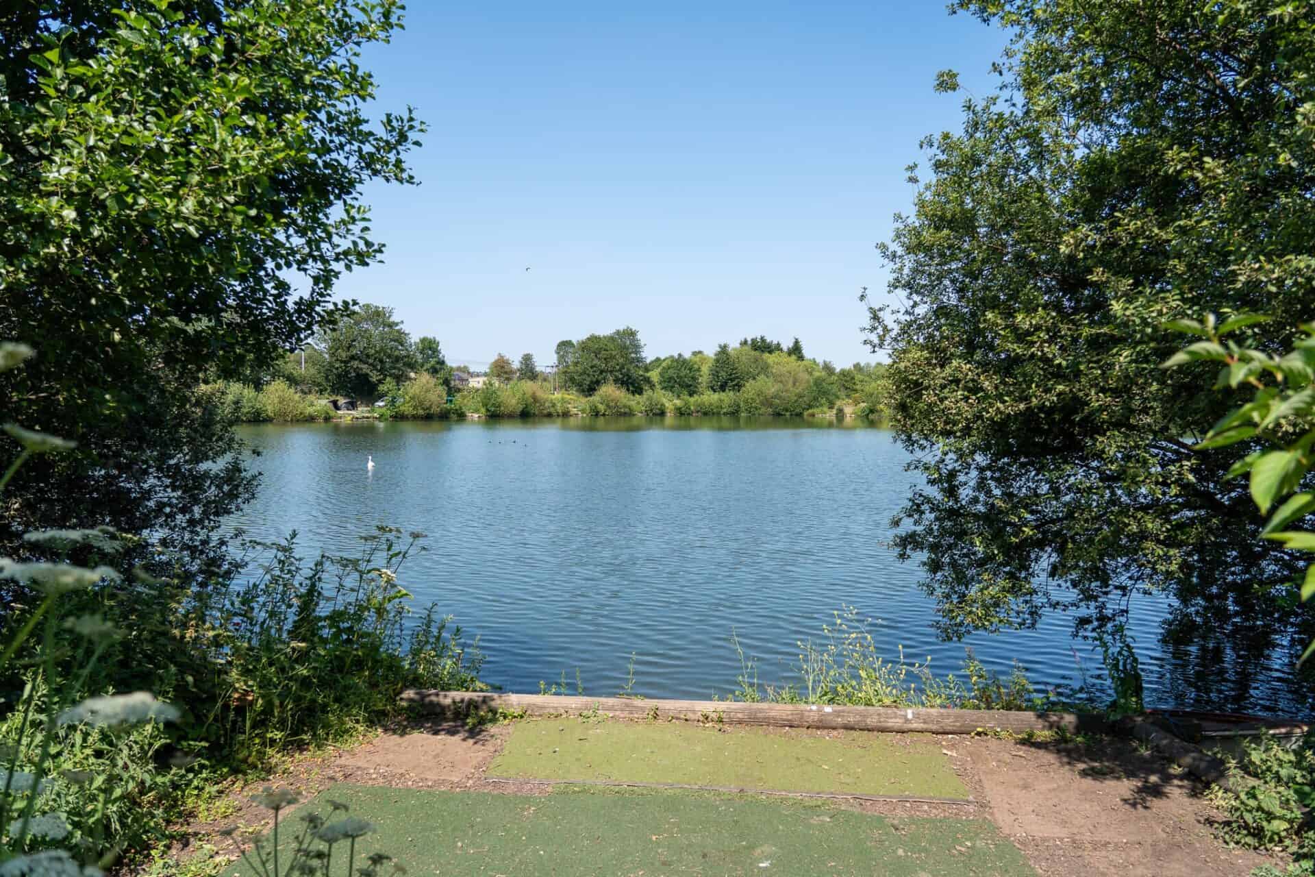 A calm lake surrounded by green trees and bushes under a clear blue sky, viewed from a small grassy platform at the water’s edge.