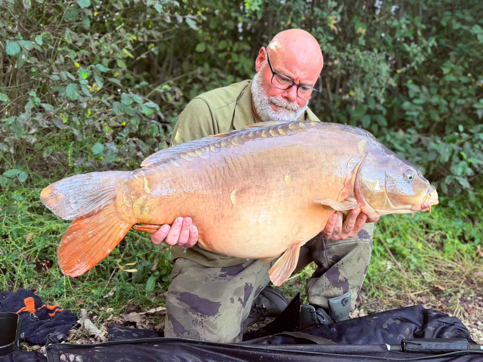 A man with a white beard and glasses kneels outdoors, holding a large carp with both hands in front of dense green foliage.