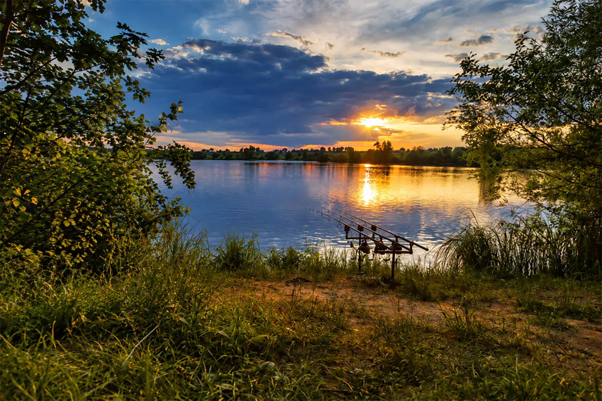 Fishing rods rest on a stand by a grassy lakeshore at sunset, with trees framing the scene and reflections on the calm water—a tranquil setting that welcomes everyone, including members of the UK angling community for deaf people and those passionate about inclusive carp angling.